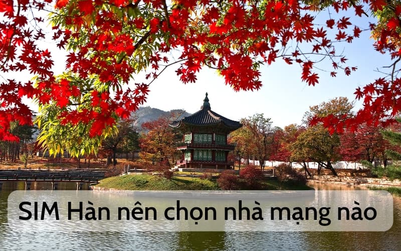 Mua SIM Hàn Quốc nên chọn nhà mạng nào?