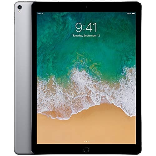 iPad Pro 9.7-inch có hỗ trợ eSIM không?