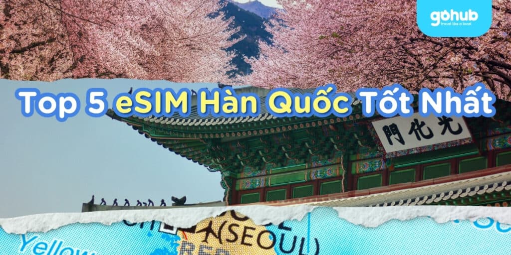 Top 5 eSIM Hàn Quốc Tốt Nhất: So Sánh Airalo, Jetpac, GOHUB