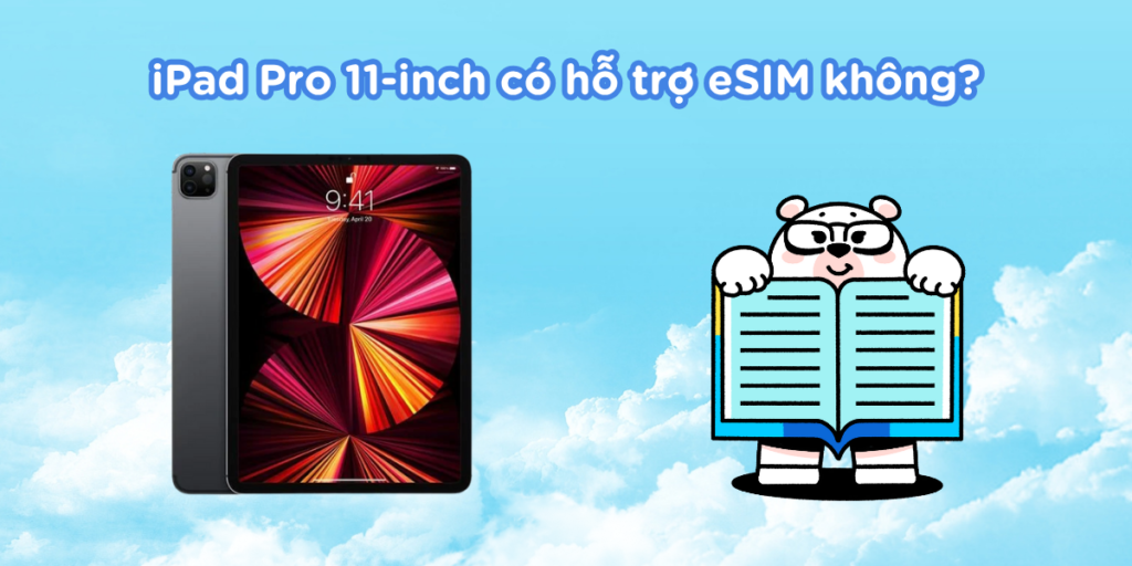 iPad Pro 11-inch có hỗ trợ eSIM không