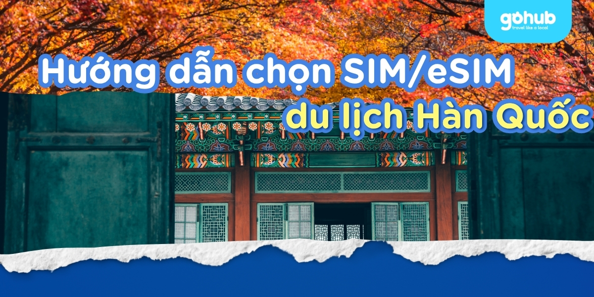 Hướng dẫn chọn SIM/eSIM du lịch Hàn Quốc