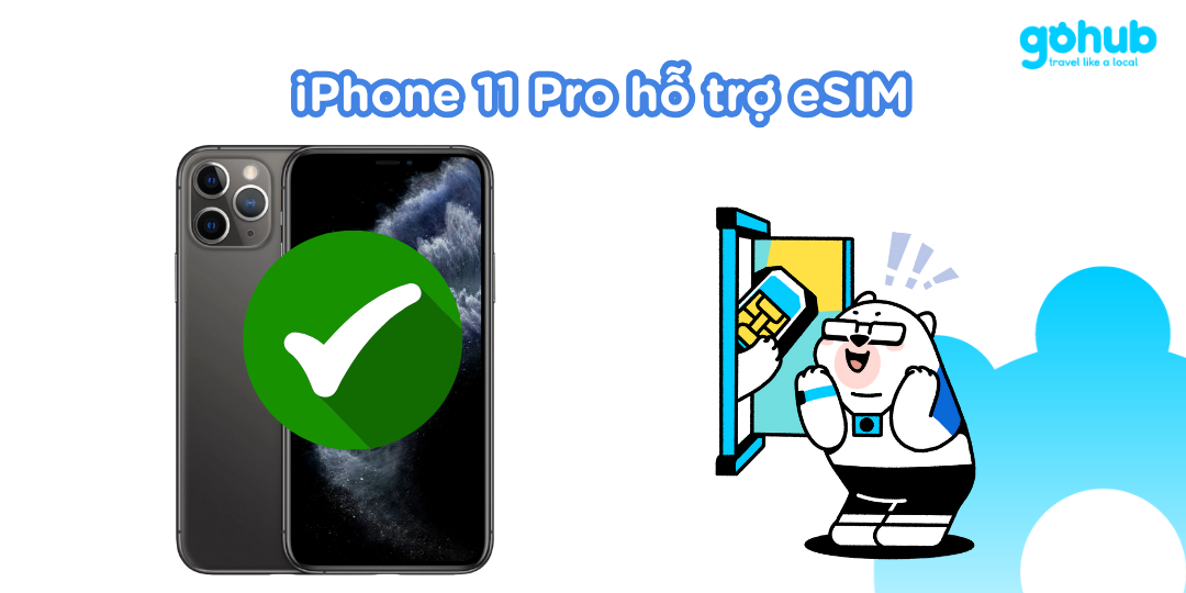 iPhone 11 Pro hỗ trợ eSIM không