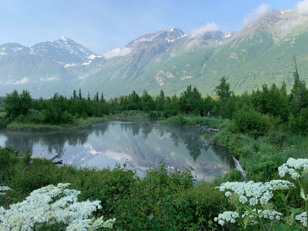 Alaska là một trong những tiểu bang đẹp nhất nước Mỹ