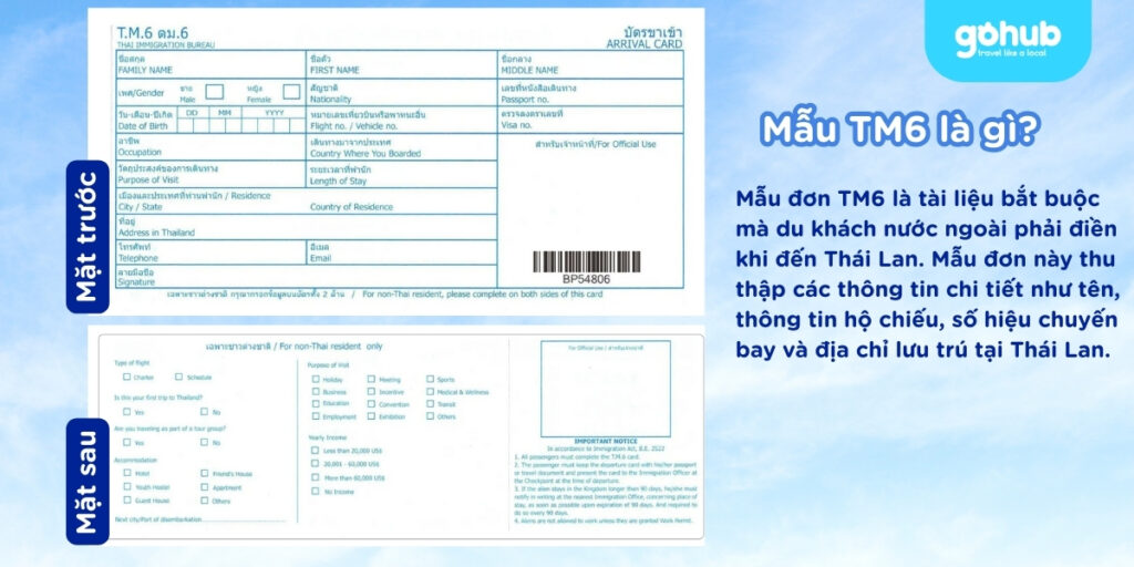 Mẫu TM6 là gì