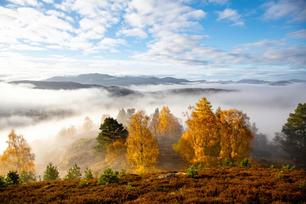 Cairngorms cong vien mua thu chau Au