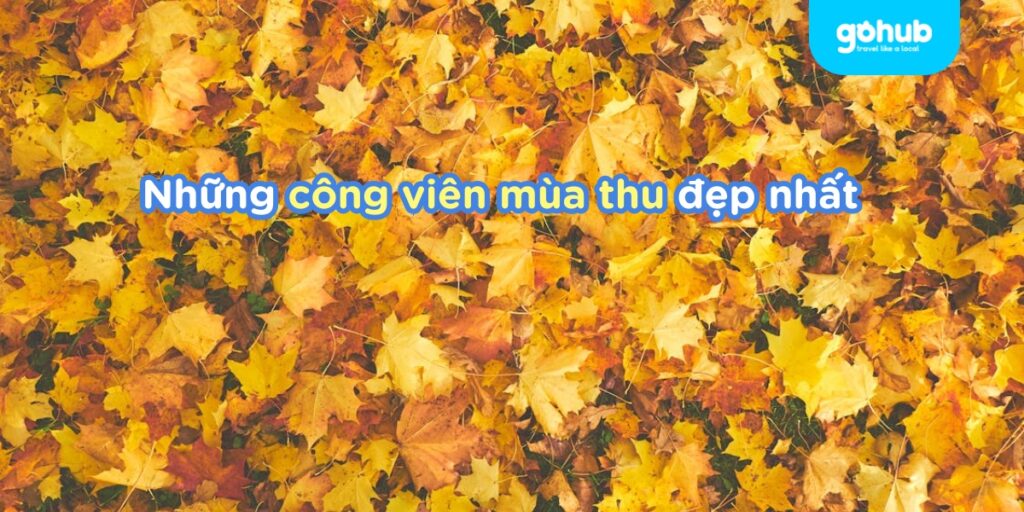 Công viên mùa thu đẹp nhất thế giới
